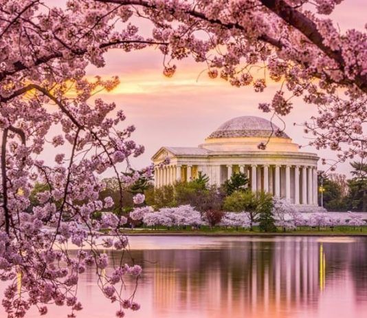 Top 10 thành phố hoa lệ của Mỹ mà bạn không thể không ghé qua 10-thanh-pho-hoa-le-cua-my