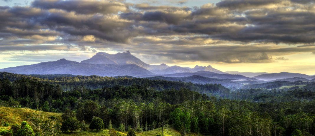 Mount Warning National Park