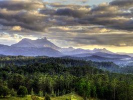 Mount Warning National Park