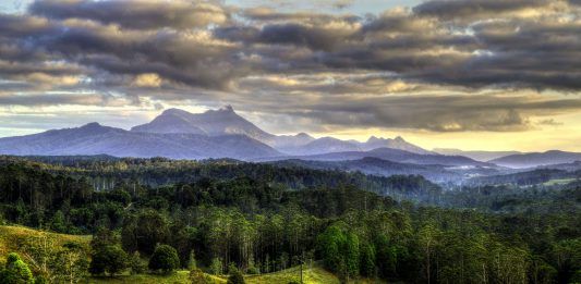 Mount Warning National Park