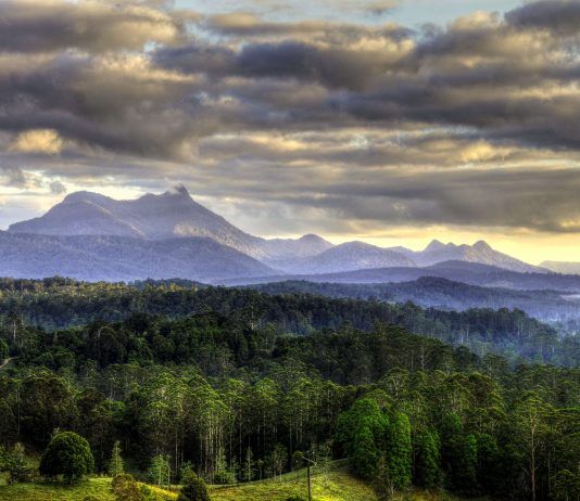 Mount Warning National Park