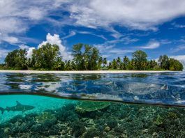 Vườn địa đàng giữa đại dương Seychelles