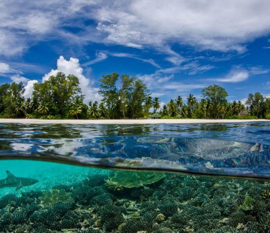 Vườn địa đàng giữa đại dương Seychelles