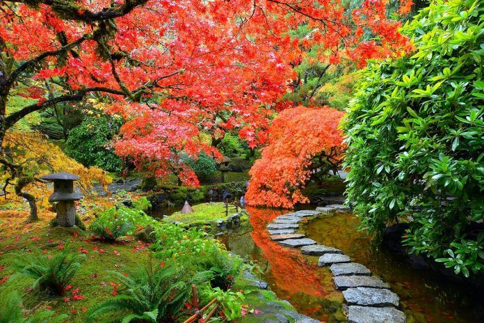 autumn-Japanese-garden