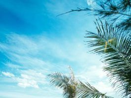 Hè siêu cute với “túp lều lý tưởng” trên bãi biển Coco Bãi biển Coco xinh đẹp