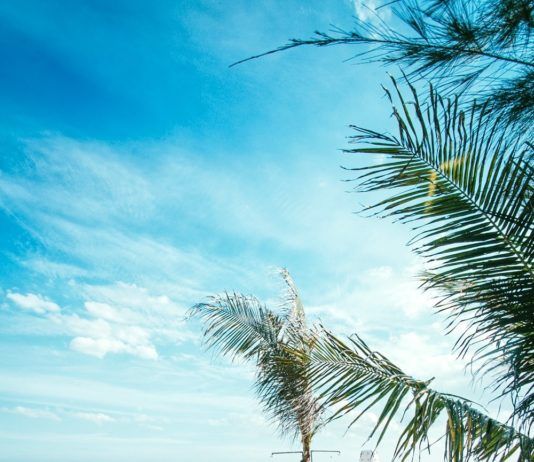 Bãi biển Coco xinh đẹp
