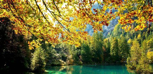 Blausee