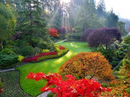 Butchart Gardens – Xứ sở thần tiên của Canada butchart-in-fall