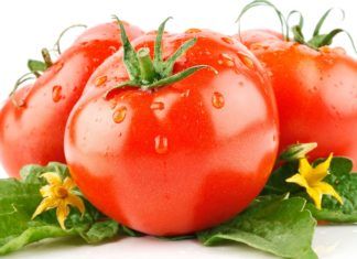 Ảnh tiêu biểu cà chua