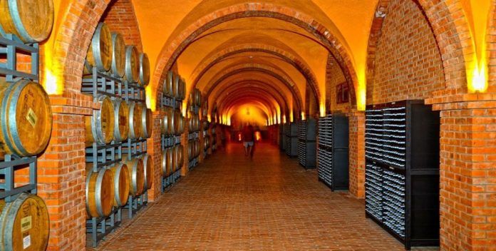 Tham quan hầm bảo quản rượu của Lâu đài rượu vang