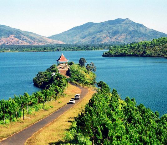 Đôi mắt Pleiku