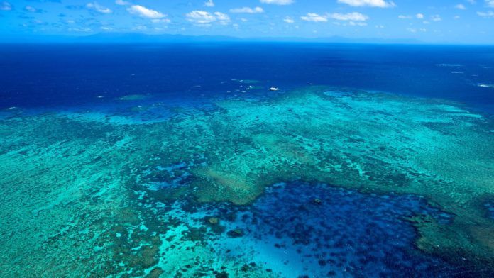 Great Barrier Reef island