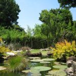 Vườn địa đàng