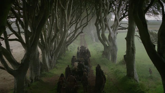 Hàng cây Dark Hedges phim Game of Thrones