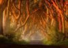 Hàng cây Dark Hedges trong Game of Thrones