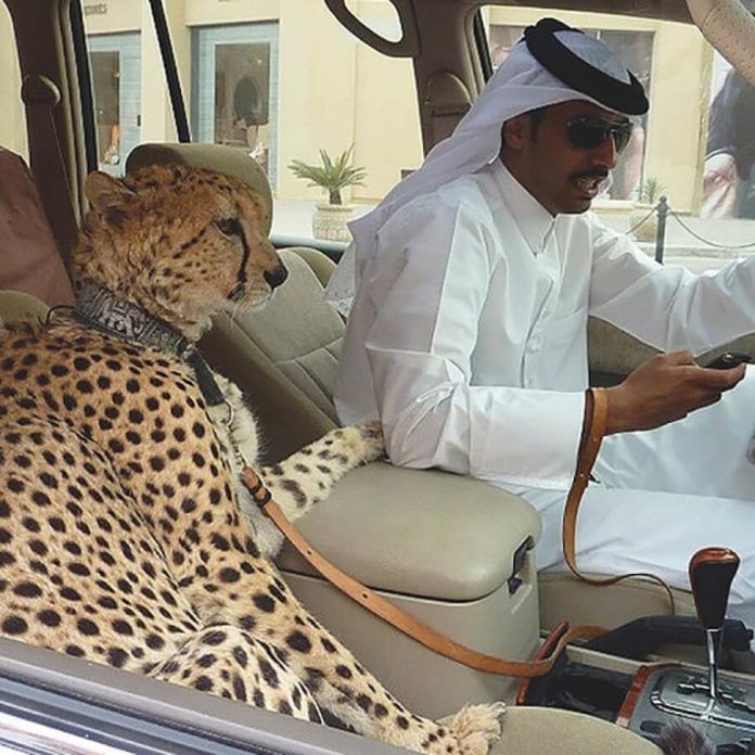 Hình ảnh bá đạo ở Dubai