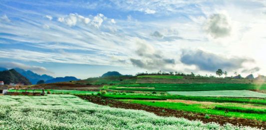 Săn những mùa hoa