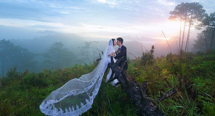 Ảnh cưới lãng mạn bên rừng (ảnh: internet)