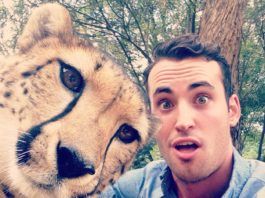 Selfie with Cheetah