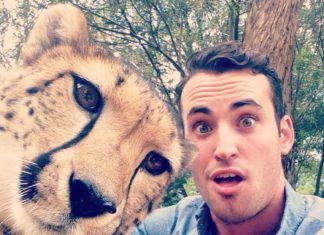 Selfie with Cheetah