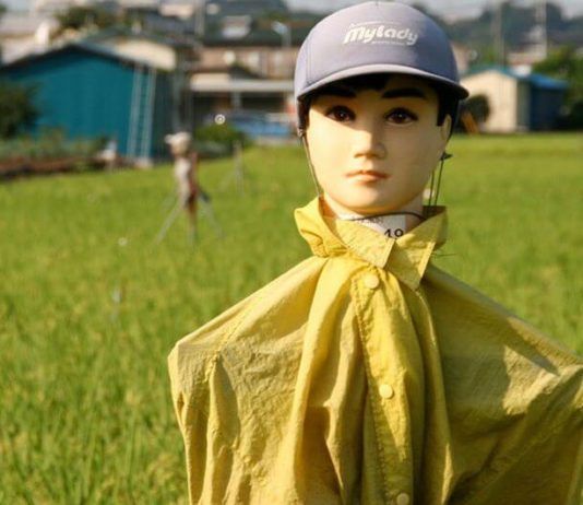 Đứng tim, hoảng hồn với những cái đầu kinh dị trên đồng lúa Nhật Bản Bù nhìn ở Nhật Bản