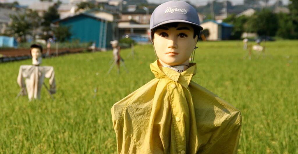 Đứng tim, hoảng hồn với những cái đầu kinh dị trên đồng lúa Nhật Bản