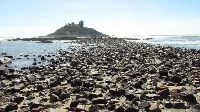 Đường đá độc đáo xuyên biển (ảnh: internet)