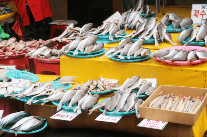 jagalchi fish market