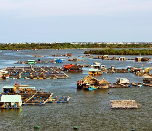 Làng bè Long Sơn