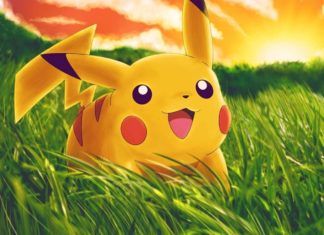 Cùng đi săn phiên bản thật của các Pokemon nào! Pikachu