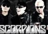 scorpion (Ảnh internet)