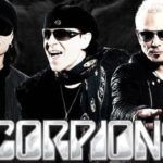 scorpion (Ảnh internet)