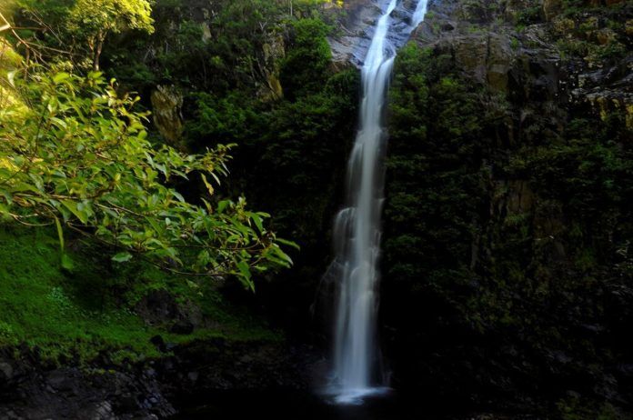 Ngọn thác trong rừng đẹp như tranh (ảnh: internet)