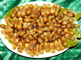 đặc sản miền tây