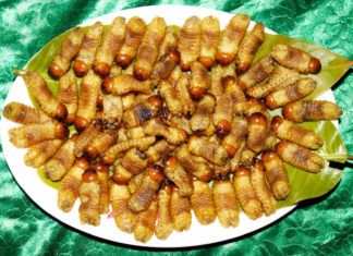 đặc sản miền tây