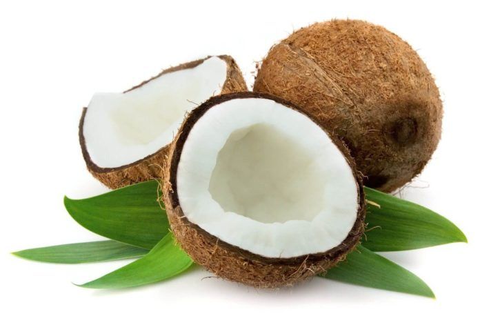 Cây dừa sáp