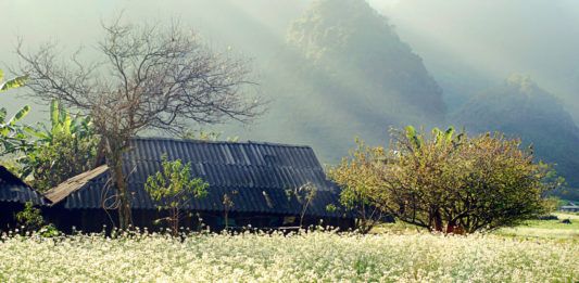 5 điểm du lịch hấp dẫn không thể bỏ qua khi mùa thu đến Moc-chau