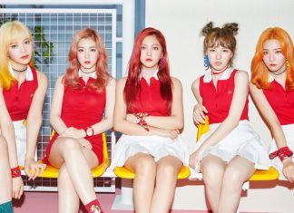 RedVelvet