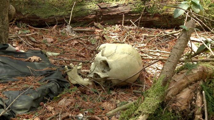 Xương người, sọ đầu nhan nhãn khắp cánh rừng (Ảnh: internet)