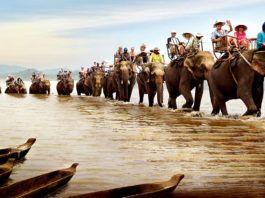 Cưỡi voi, bạn đã thử chưa? Buôn Đôn