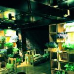 Trải nghiệm không gian rừng và biển ngay tại Sài Gòn