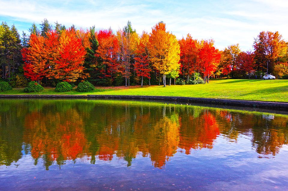 Những hình ảnh đẹp nhất về mùa thu ở Canada - BlogAnChoi