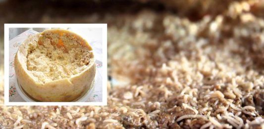 Casu marzu