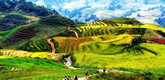 Sapa