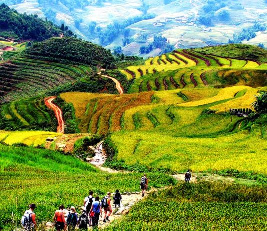 Sapa