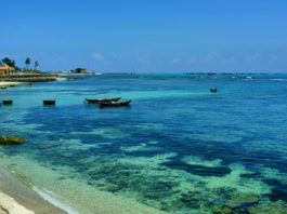 lý sơn