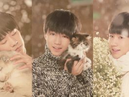 TFBOYS sở hữu lượng fan hùng hậu (Ảnh: internet)