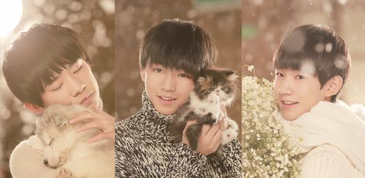 TFBOYS sở hữu lượng fan hùng hậu (Ảnh: internet)