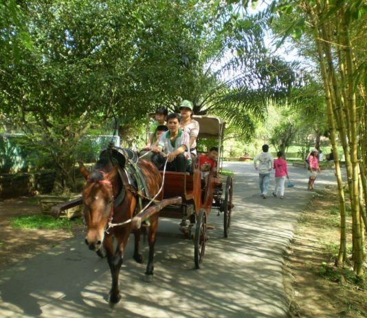 Đến Bến Tre nhớ ghé thăm cồn Phụng Cồn Phụng