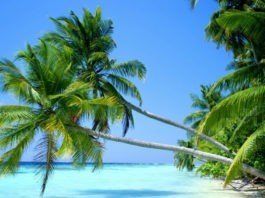 Bãi Dài, Phú Quốc